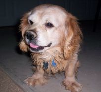 My Best Friend!